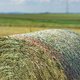 Dürrfutter in Rundballe gepresst | © PÖTTINGER Landtechnik GmbH