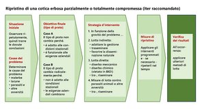 Percorso di ripristino