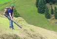 Am Steilhang: Laubbläser statt Handrechen | © Fachzeitschrift LANDWIRT, edition-lmz