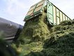 Erntewagen befüllt Fahrsilo | © Hp.Hug