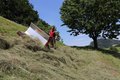 Am Steilhang: Twister statt Handrechen | © Rapid Technic AG