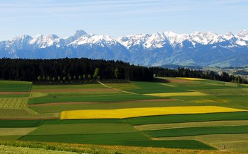 Campi e prati colorano l’Altopiano svizzero | © Suter Heinz BE_landwirtschaft.ch