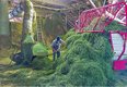 Traditionelles Heugebläse, ohne Dosiergerät, viel Handarbeit | © K.Oppliger, edition-lmz