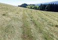 Futterablage zweier Mähwerke: Doppelmesserbalken (links), rotierendes Mähwerk (rechts) | © M.Kern, edition-lmz