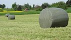 Silo-Rundballen | © Hp.Hug