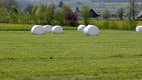 Rundballen mit Frühjahrssilage | © Hp.Hug
