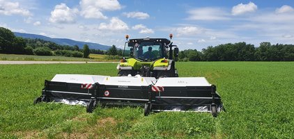 DA auf Wiesen-Blacke - Rumex obtusifolius | © agroline