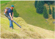 Am Steilhang: Laubbläser statt Handrechen | © edition-lmz, Fachzeitschrift LANDWIRT